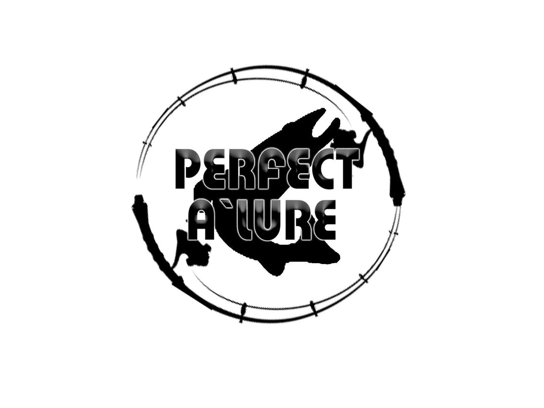 Winter Magic: Sandeel and small metals on Scotland's West Coast